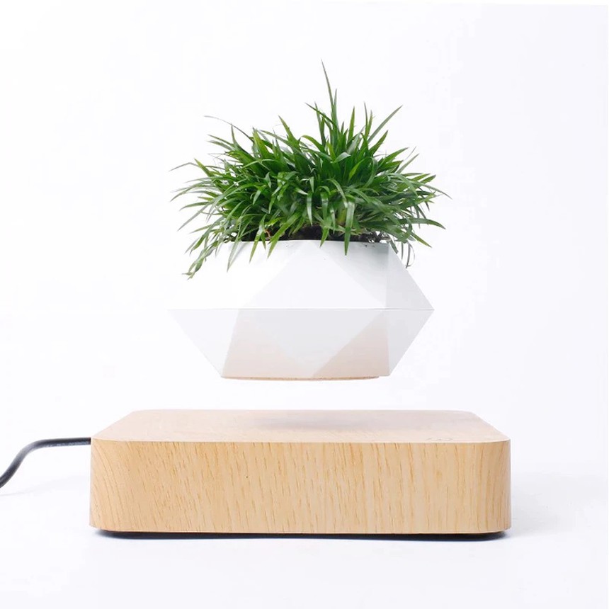 Magnetically Levitating Air Plant