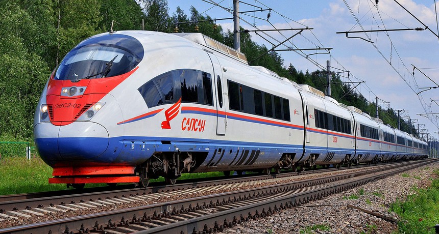 Russia Peregrine Falcon train